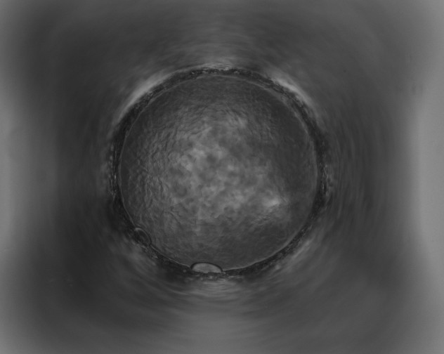 X0000088471256200705221356