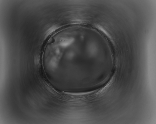 X0000088471259200705221356