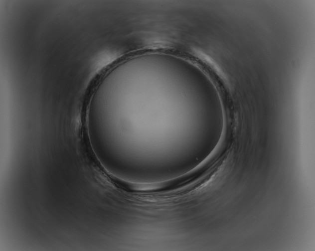X0000088471261200705221356