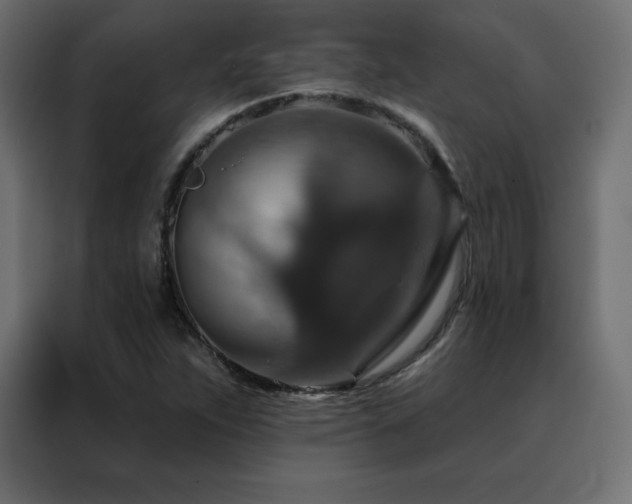 X0000088471263200705221356