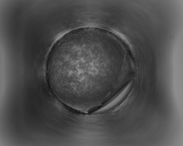 X0000088471264200705221356