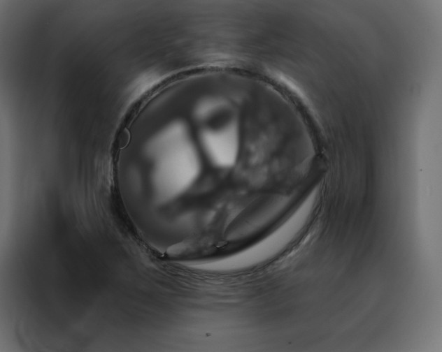X0000088471267200705221355