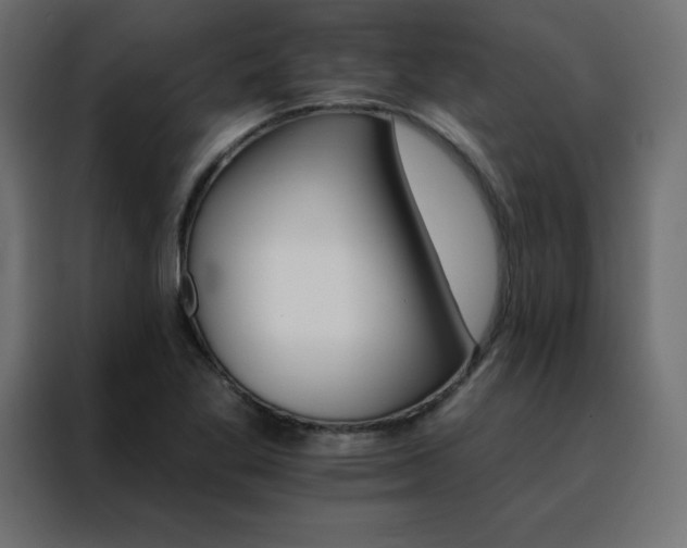 X0000088471269200705221355
