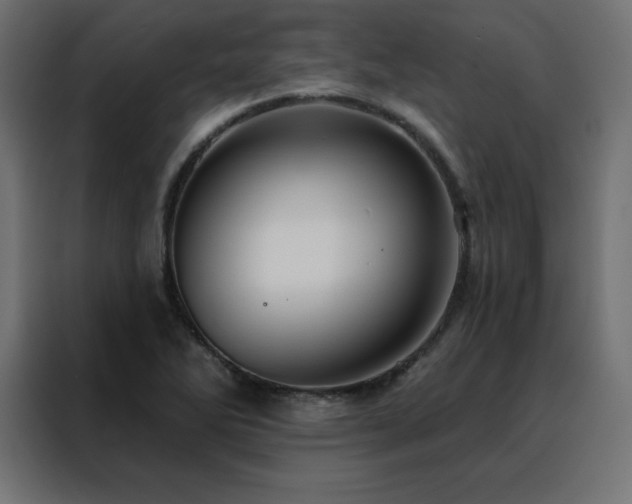 X0000088471270200705221355