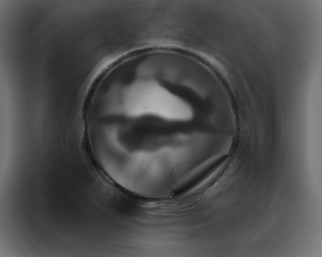 X0000088471271200705221355