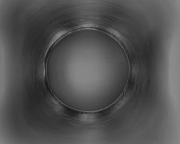 X0000088471274200705221355