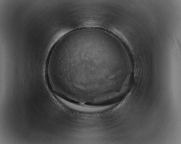 X0000088471277200705221355