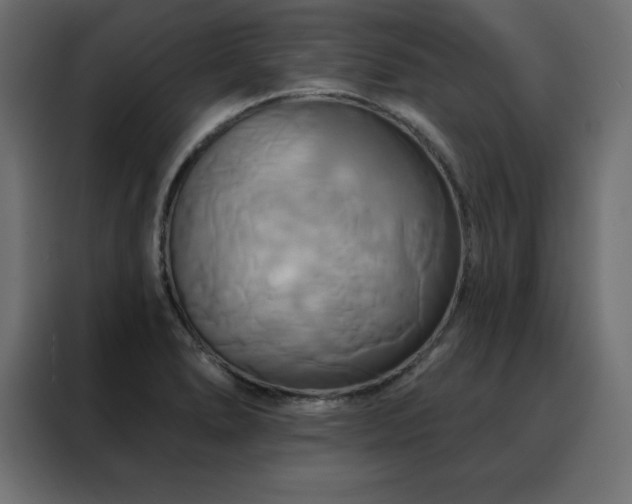 X0000088471278200705221355