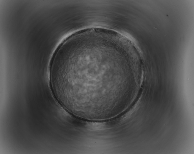 X0000088471280200705221355