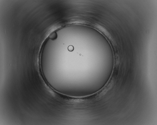 X0000088471282200705221355