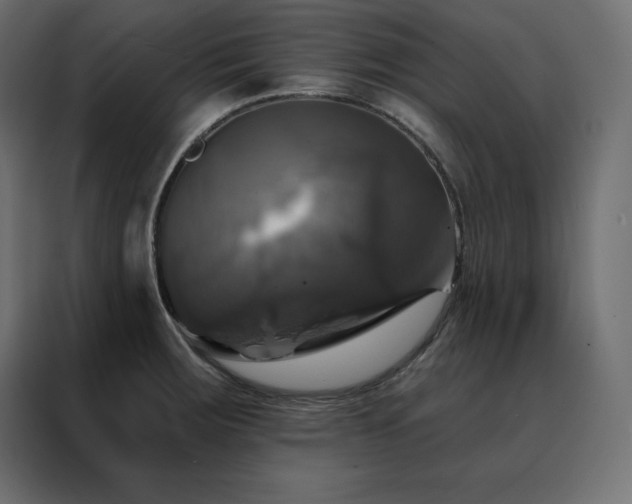 X0000088471283200705221355