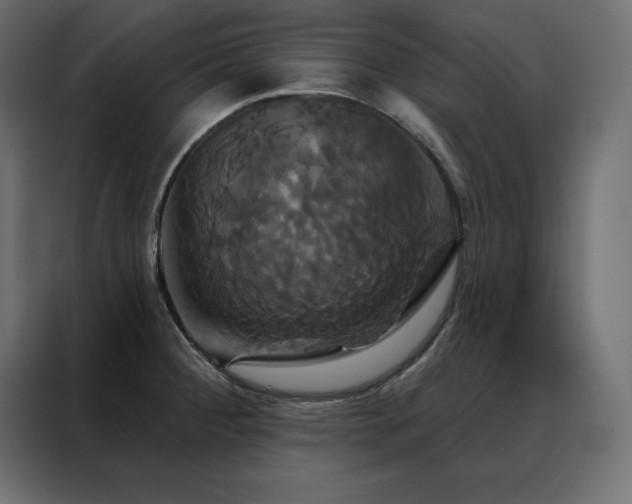 X0000088471284200705221355