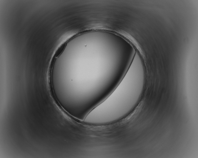 X0000088471285200705221355