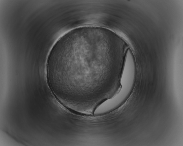 X0000088471288200705221355