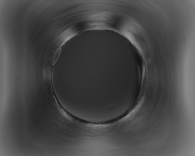 X0000088471289200705221355