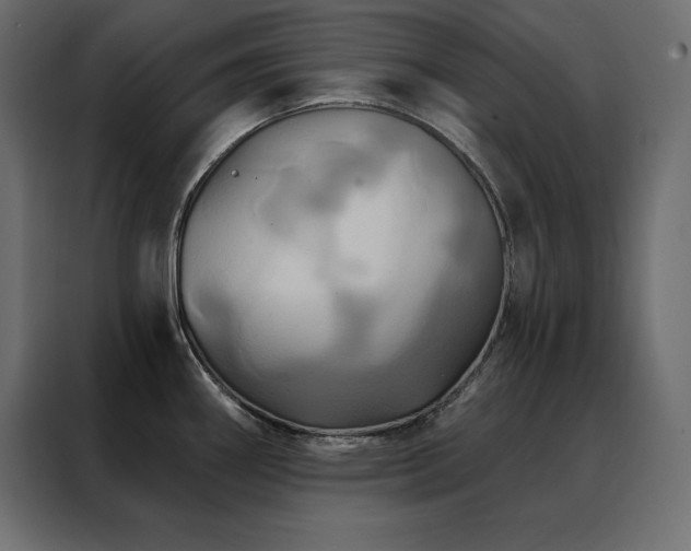 X0000088471290200705221355