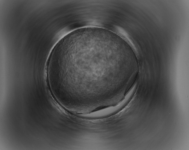 X0000088471292200705221355
