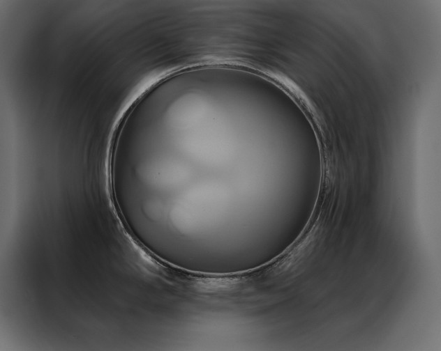 X0000088471294200705221355