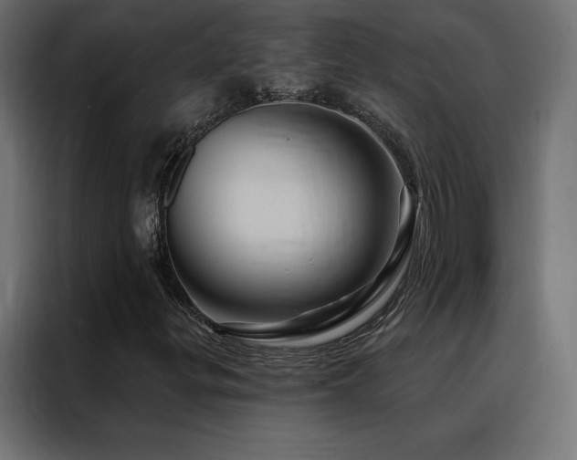 X0000088471299200705221354