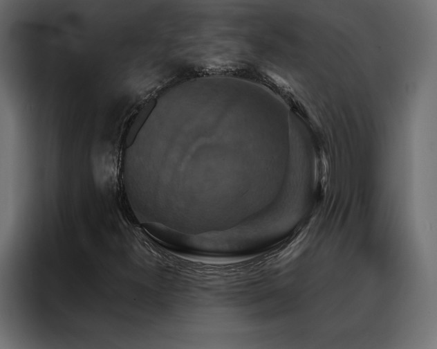X0000088471300200705221354
