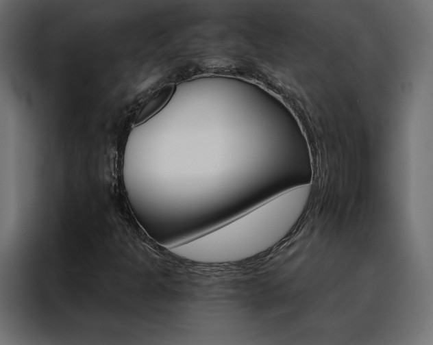 X0000088471301200705221354