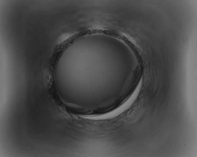 X0000088471303200705221354