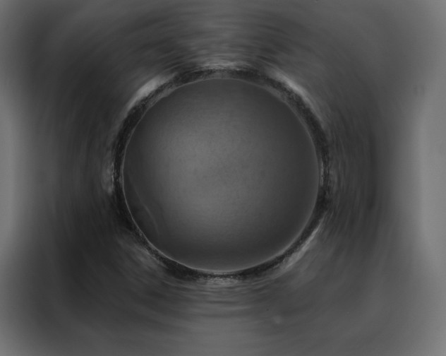 X0000088471306200705221355