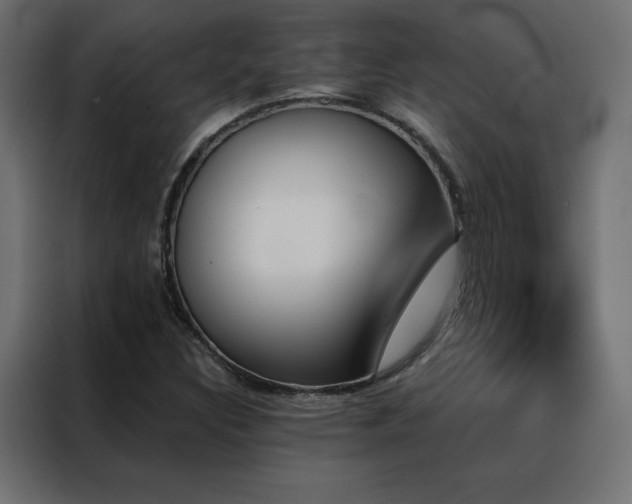 X0000088471308200705221355