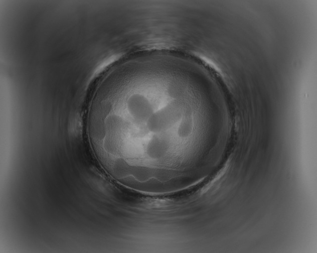 X0000088471309200705221355