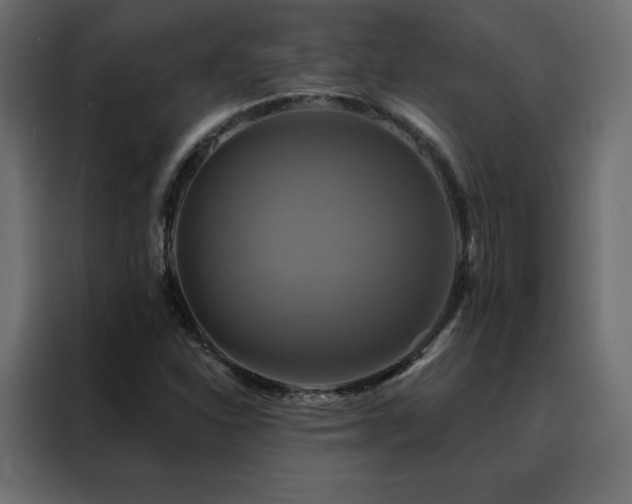 X0000088471310200705221355