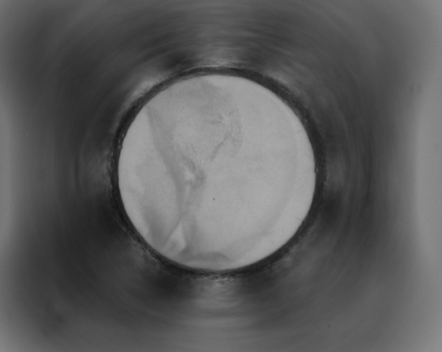 X0000088471314200705221355