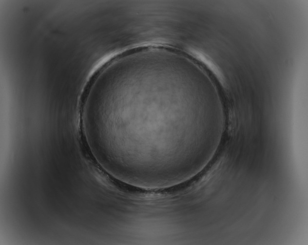 X0000088471316200705221355