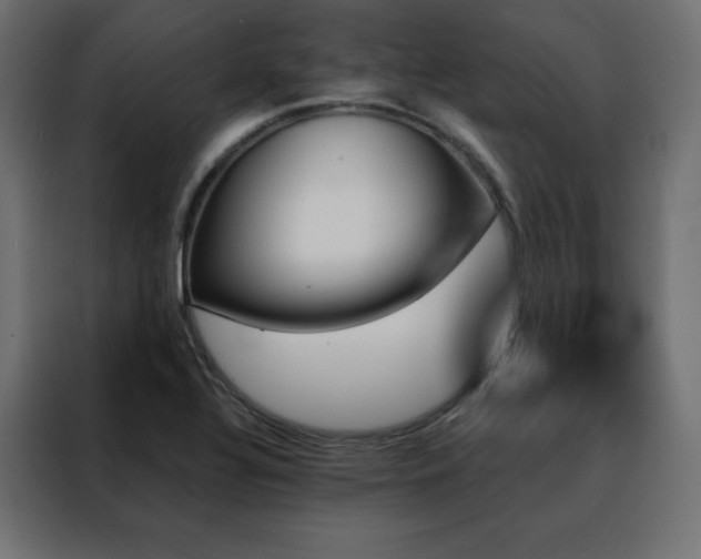 X0000088471320200705221355