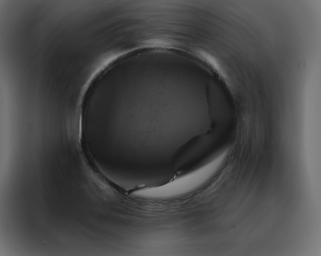 X0000088471323200705221355
