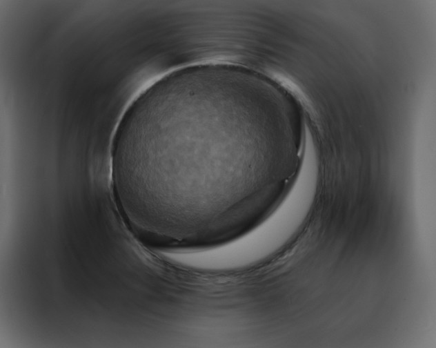 X0000088471324200705221355