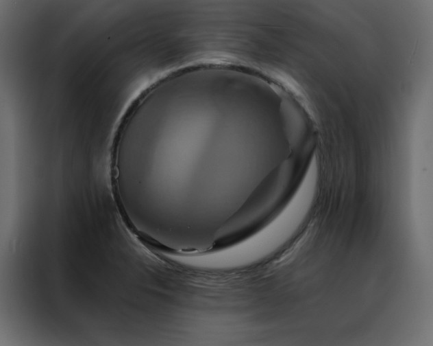 X0000088471326200705221355