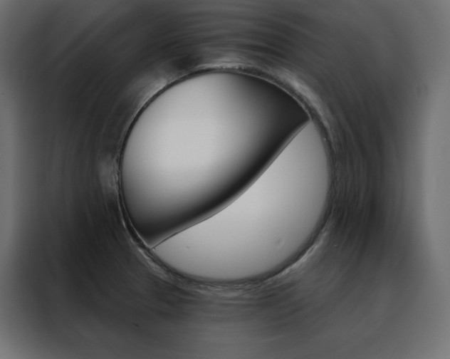X0000088471329200705221355