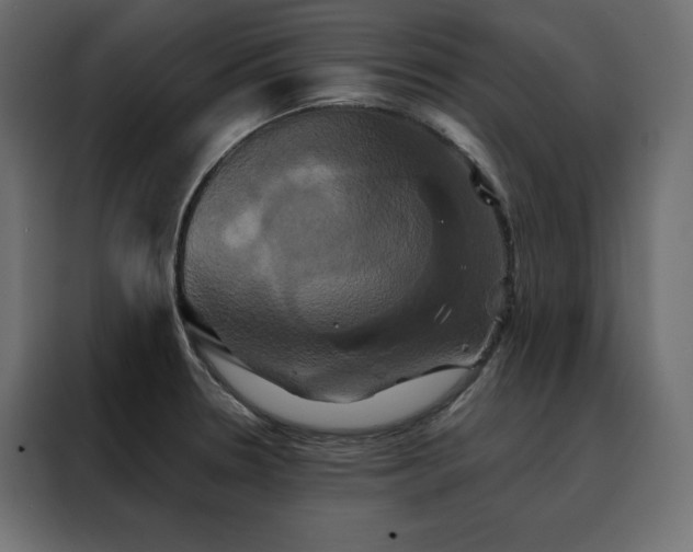 X0000088471330200705221355