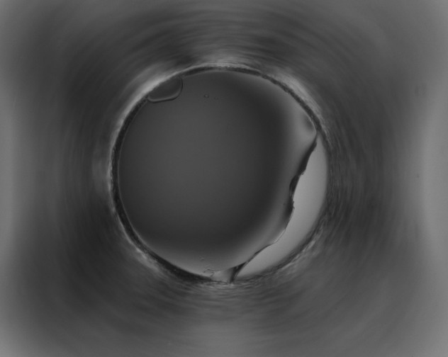 X0000088471331200705221355