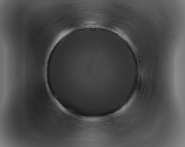 X0000088471333200705221355