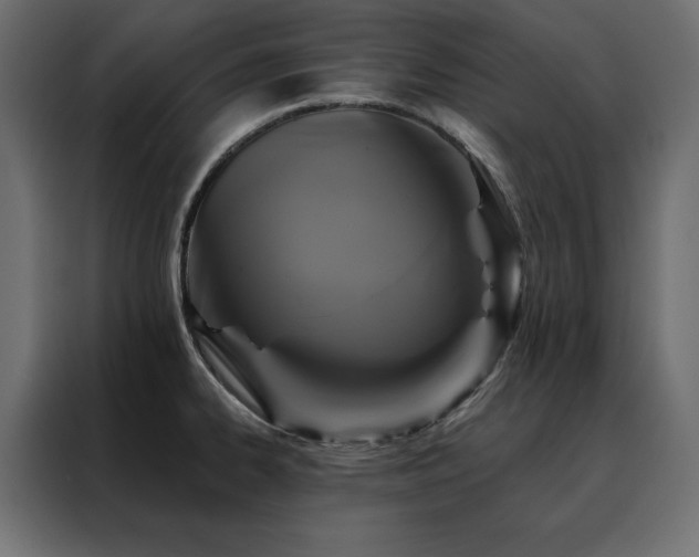 X0000088471334200705221355