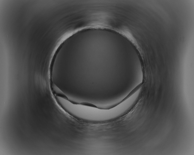 X0000088471335200705221355