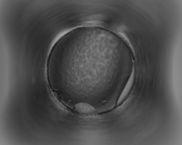 X0000088471336200705221355