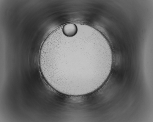 X0000088471338200705221355