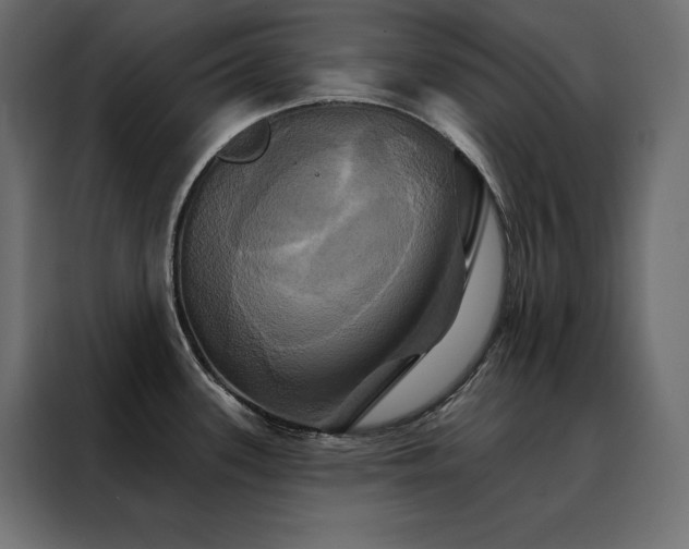 X0000088471339200705221355