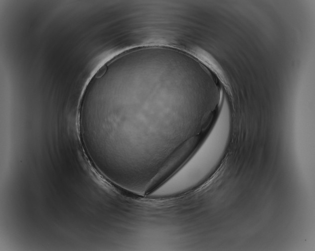 X0000088471340200705221355