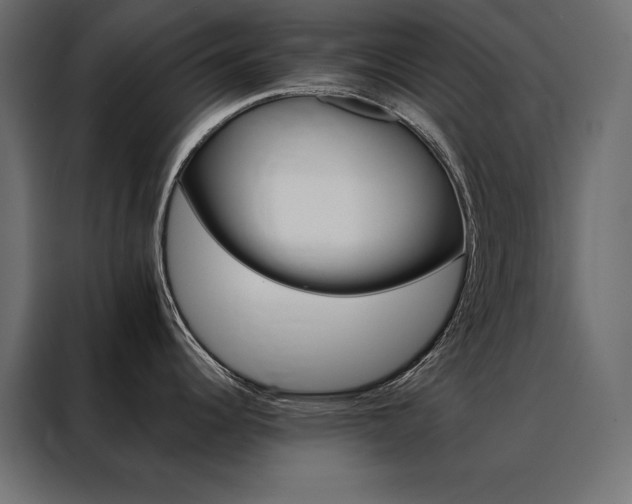 X0000088471344200705221355