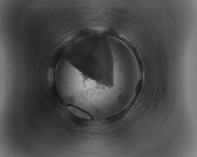 X0000088471347200705221354