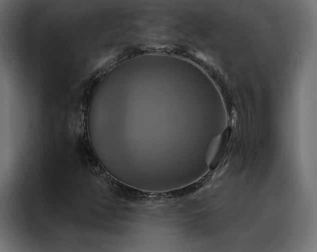 X0000088471350200705221354