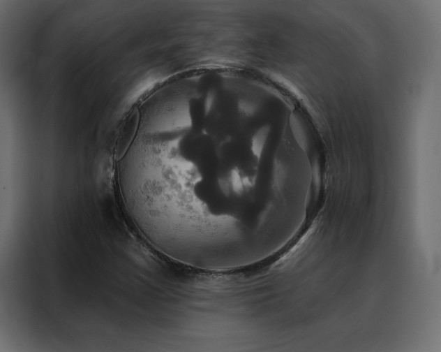 X0000088471355200705221354